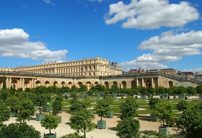 Robinie in Versailles