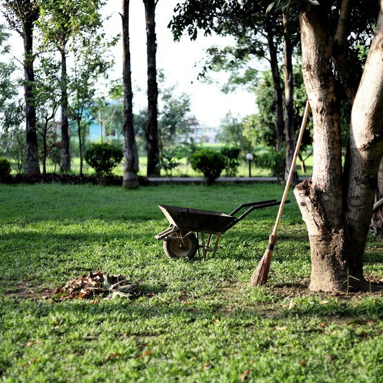 Schubkarre steht neben Baum in großem Garten