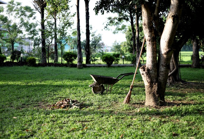 Schubkarre steht neben Baum in großem Garten