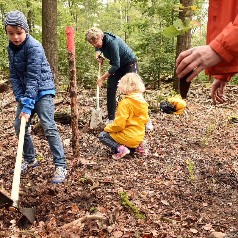 Junge plügt den Waldboden