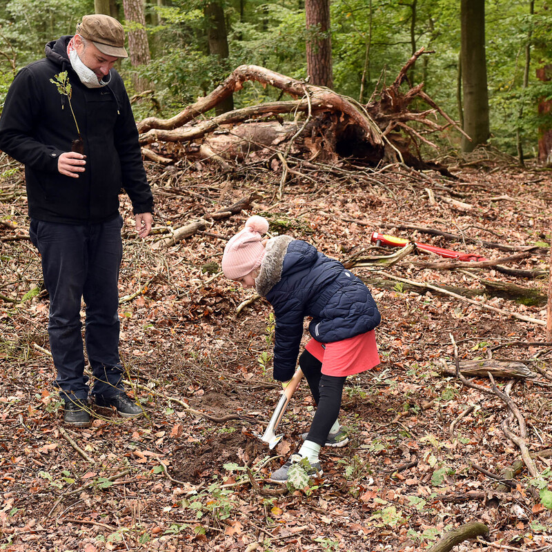 Kind gräbt Loch für neuen Baum