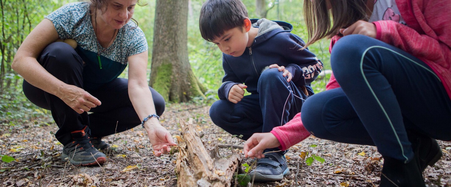 Wissen über Wald und Natur