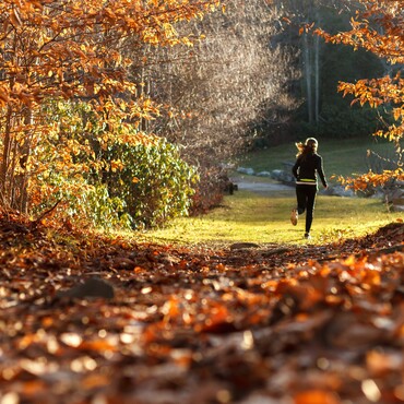 Frau joggt durch Wald