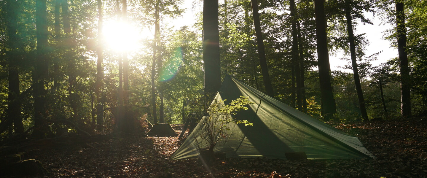 Zelt steht im Wald