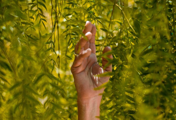 Hand fasst in Baum