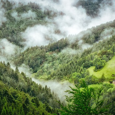 Nebel hängt über dem Schwarzwald