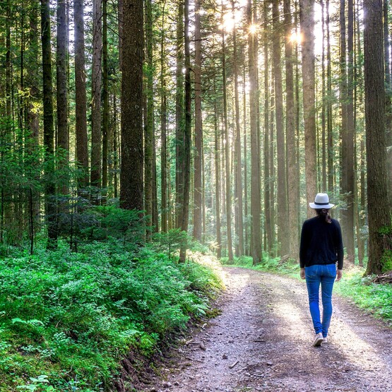 Frau geht auf Waldweg durch Lichtgetränkten Wald