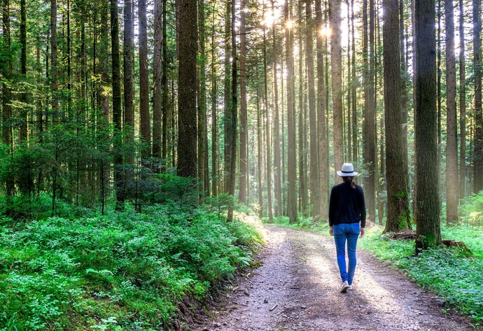 Frau geht auf Waldweg durch Lichtgetränkten Wald