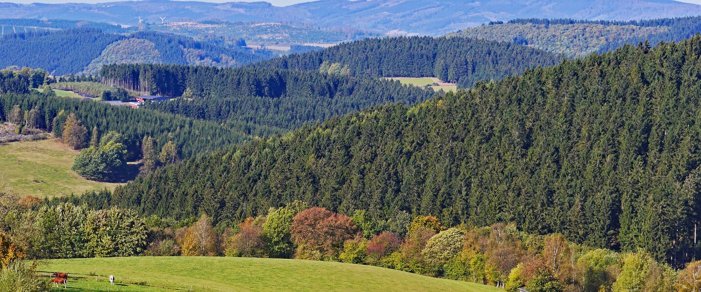 Wald im Sauerland aus Vogelperspektive