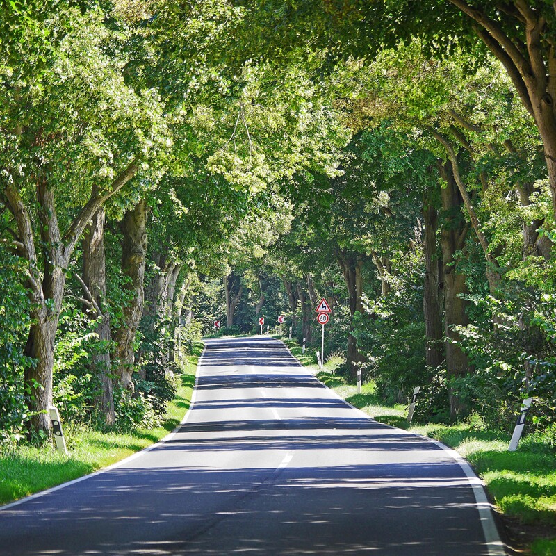 Alleenstraße Deutschland