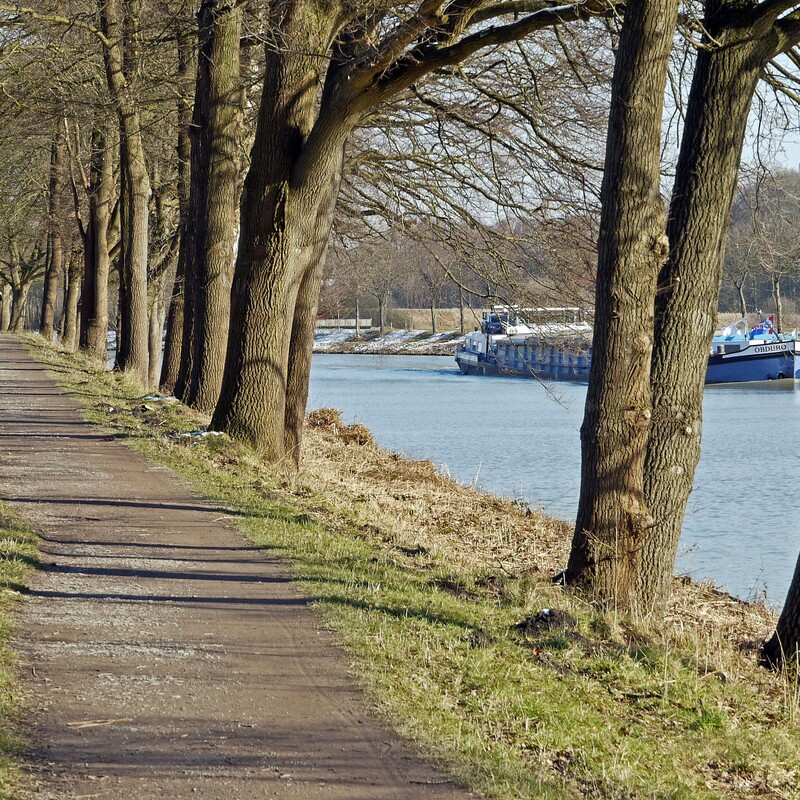 Alleenstrasse am Rhein