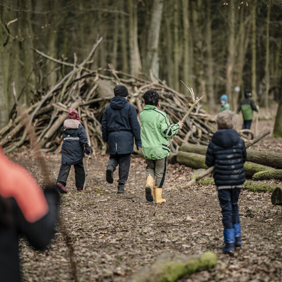 Tipi in Wald