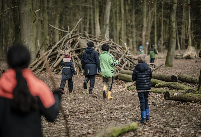 Tipi in Wald