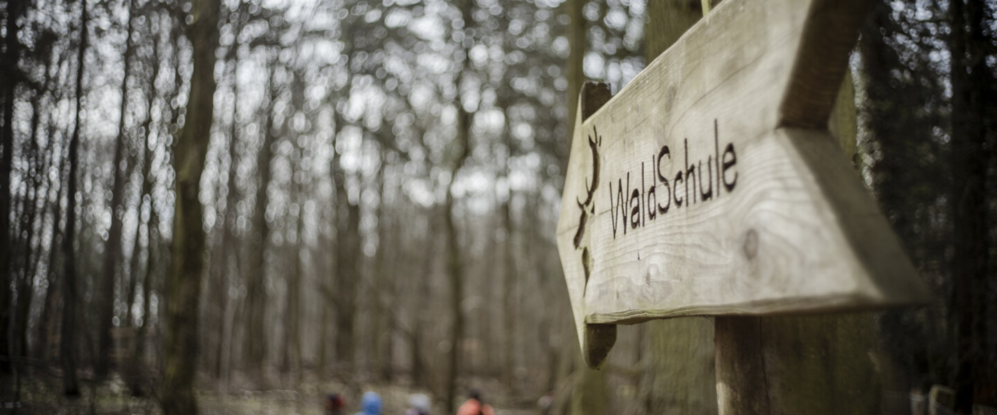 Schild zur Waldschule