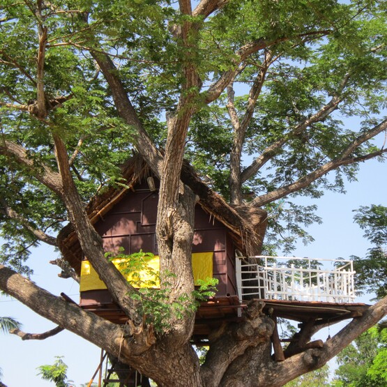 Baum mit Baumhaus vor blauem Himmel