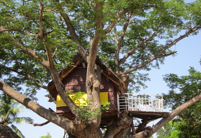 Baum mit Baumhaus vor blauem Himmel