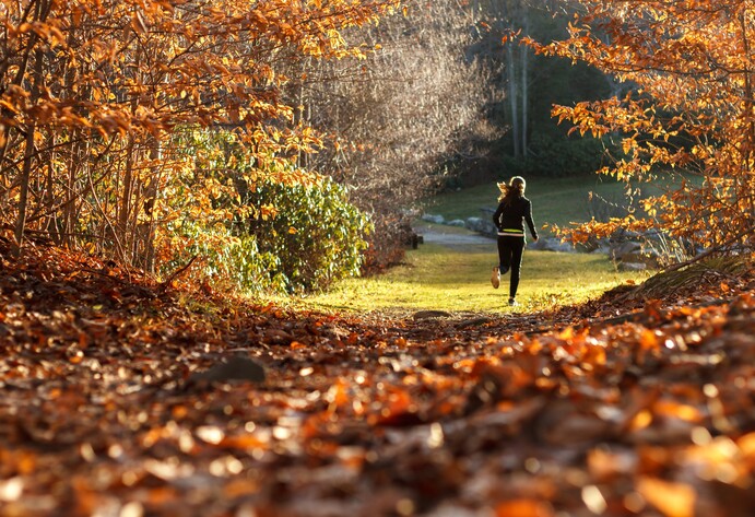 Frau joggt durch Wald