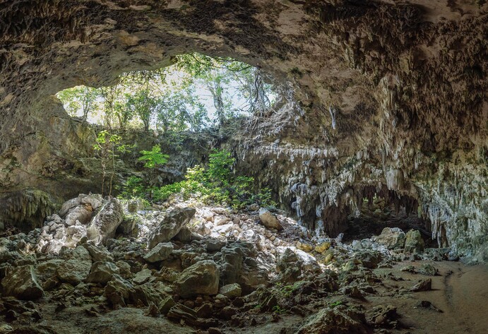 Höhle im Wald