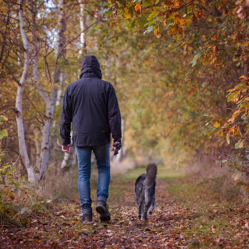 Mann geht mit Hund im Wald spazieren