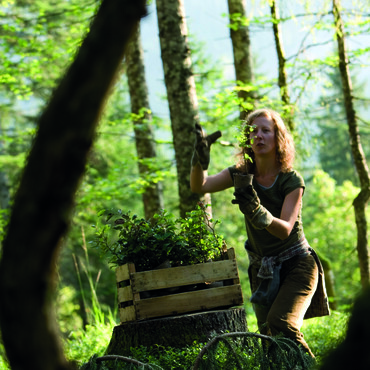 Frau arbeitet im Wald