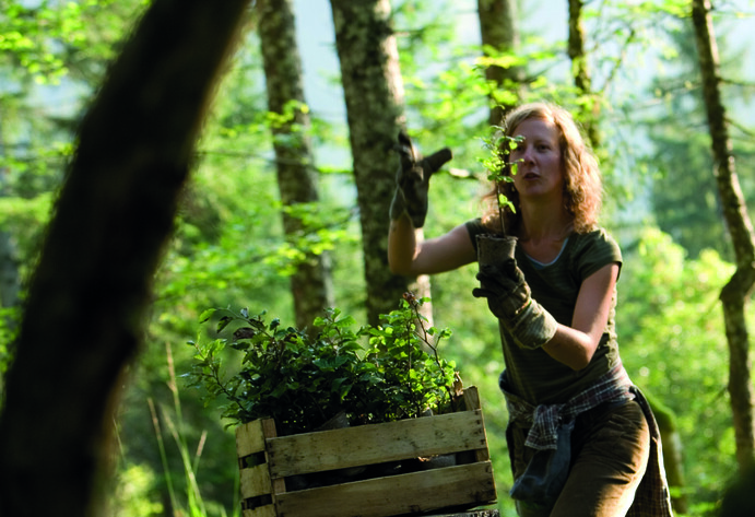 Frau arbeitet im Wald