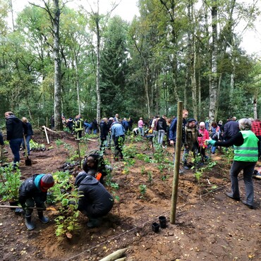 Viele Menschen sind im Wald und helfen beim Baumpflanzen