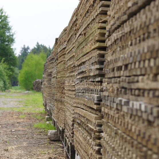 Sägewerk Holzlagerung