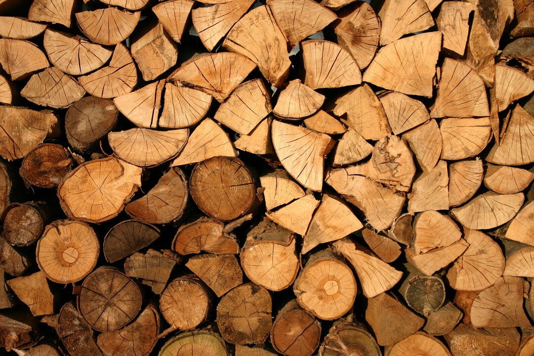Der Baum als Holz-Lieferant – die Schritte