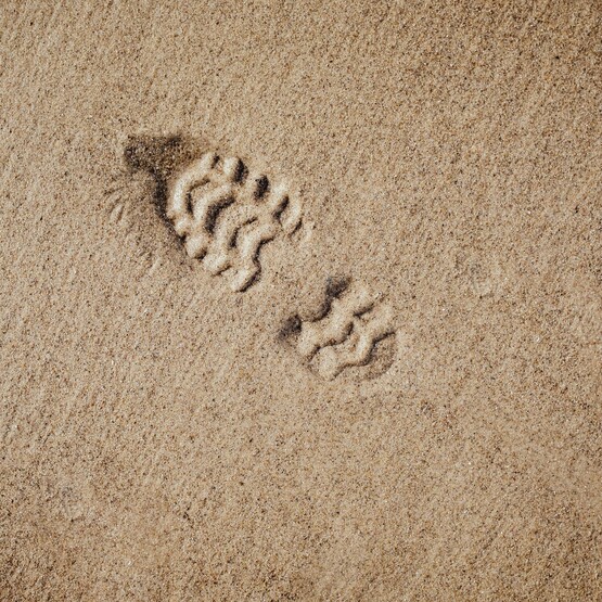 Spur im Waldboden