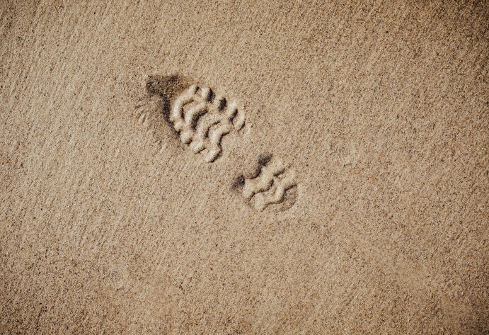 Spur im Waldboden