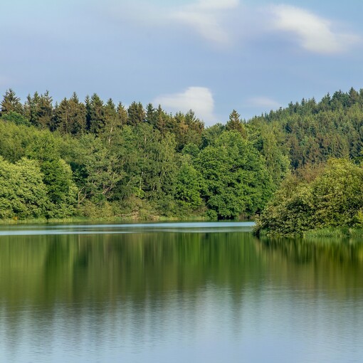 Wald am See