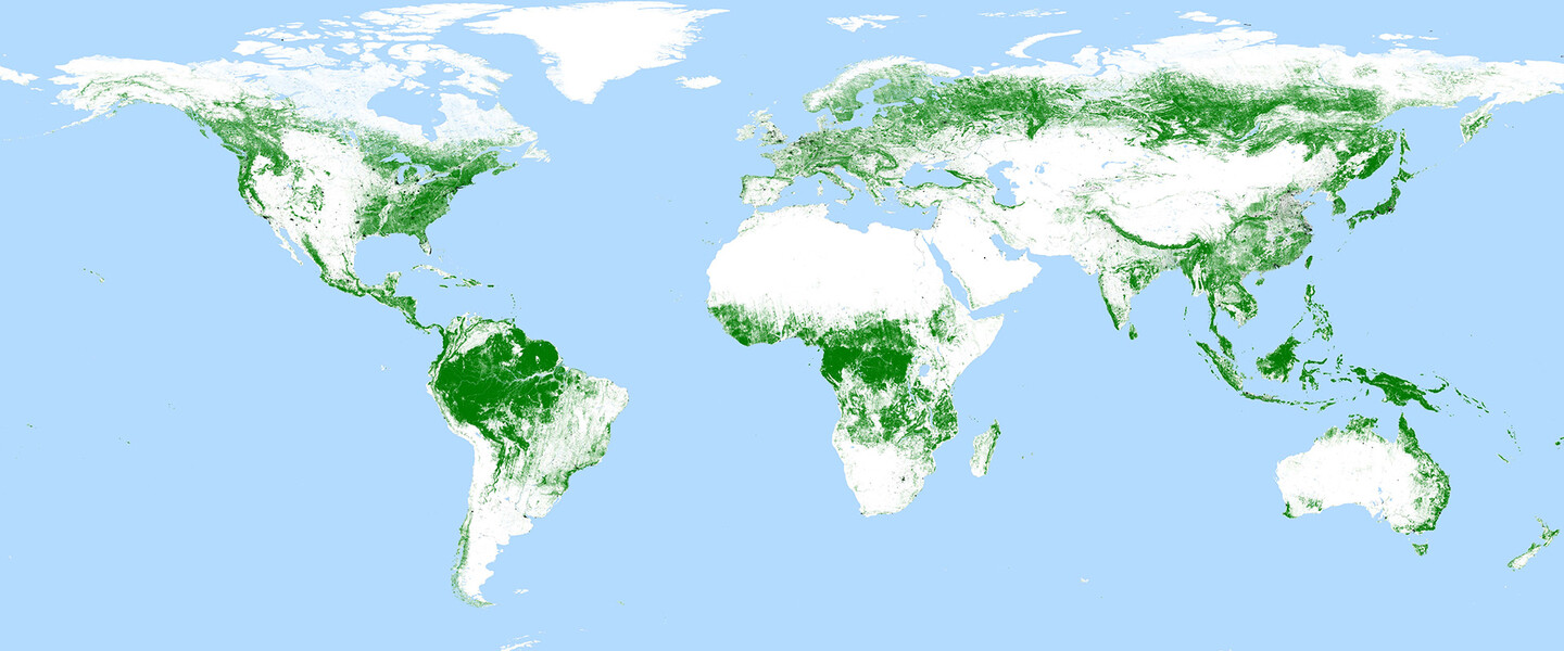 Weltweite Waldkarte