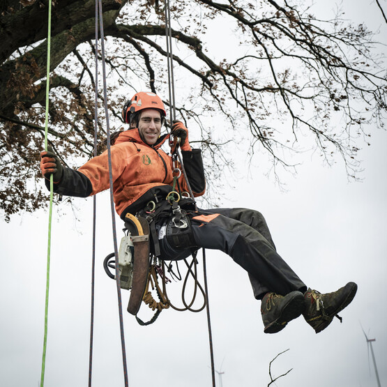 Kilpatrick hängt in Baum