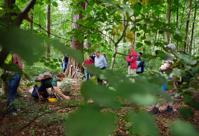 Den Wald kennenlernen