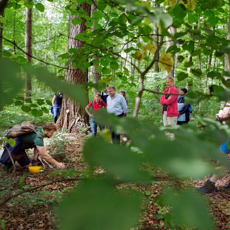 Den Wald kennenlernen