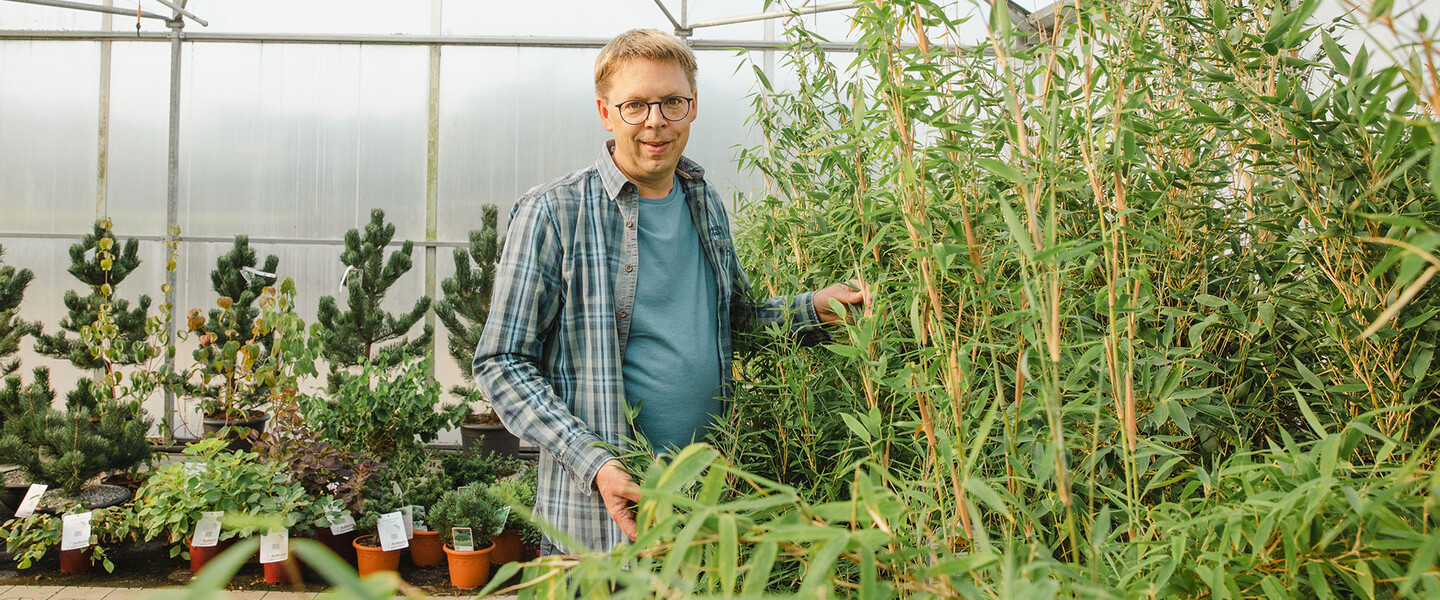 Mann mit Brille, Eike Helmers, steht im Gew&auml;chshaus zwischen verschiedenen Pflanzen