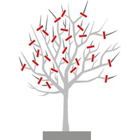 Verjüngungsschnitt Baum