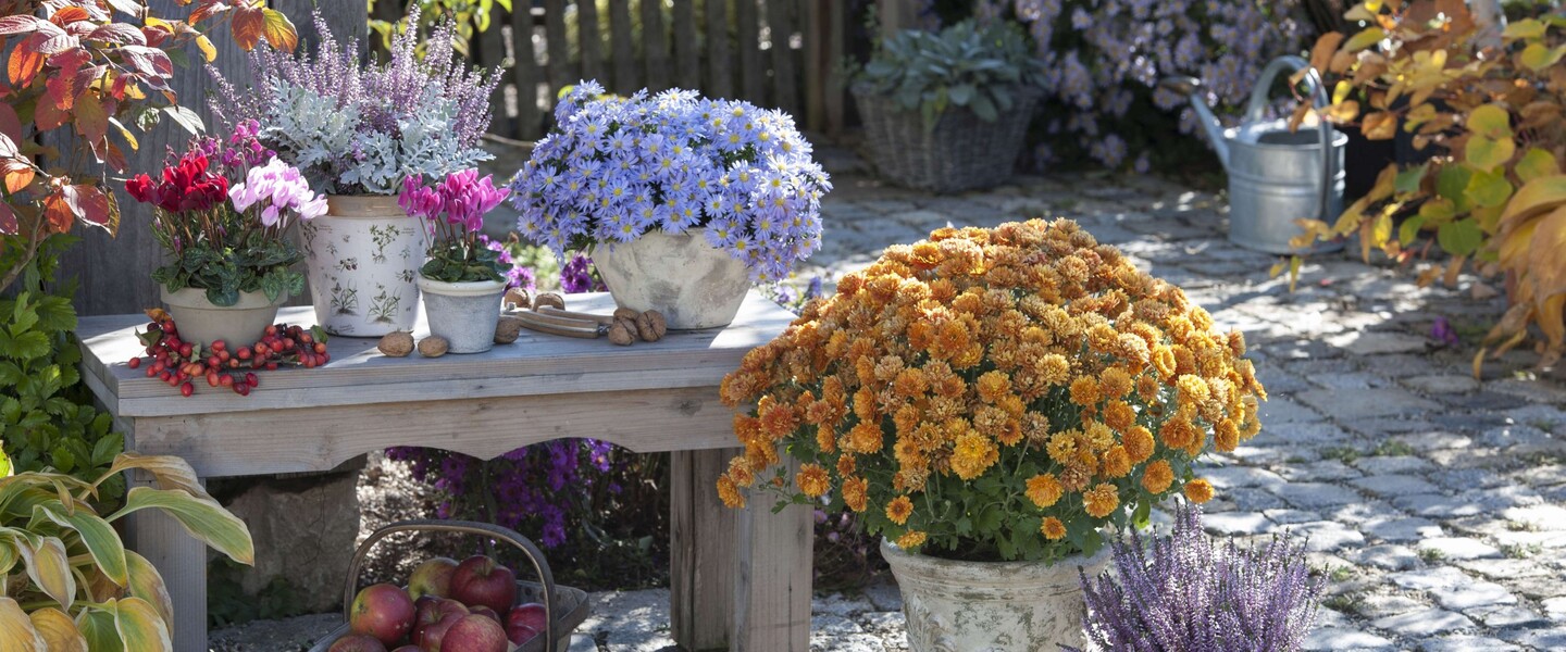Herbstliche Terrasse