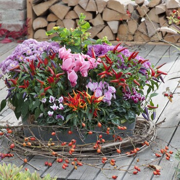 Herbstlich bepflanzte Zinkwanne