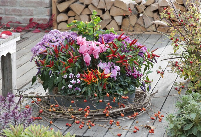 Herbstlich bepflanzte Zinkwanne