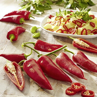 Rote Spitzpaprika liegen aufgereiht auf einem Tisch
