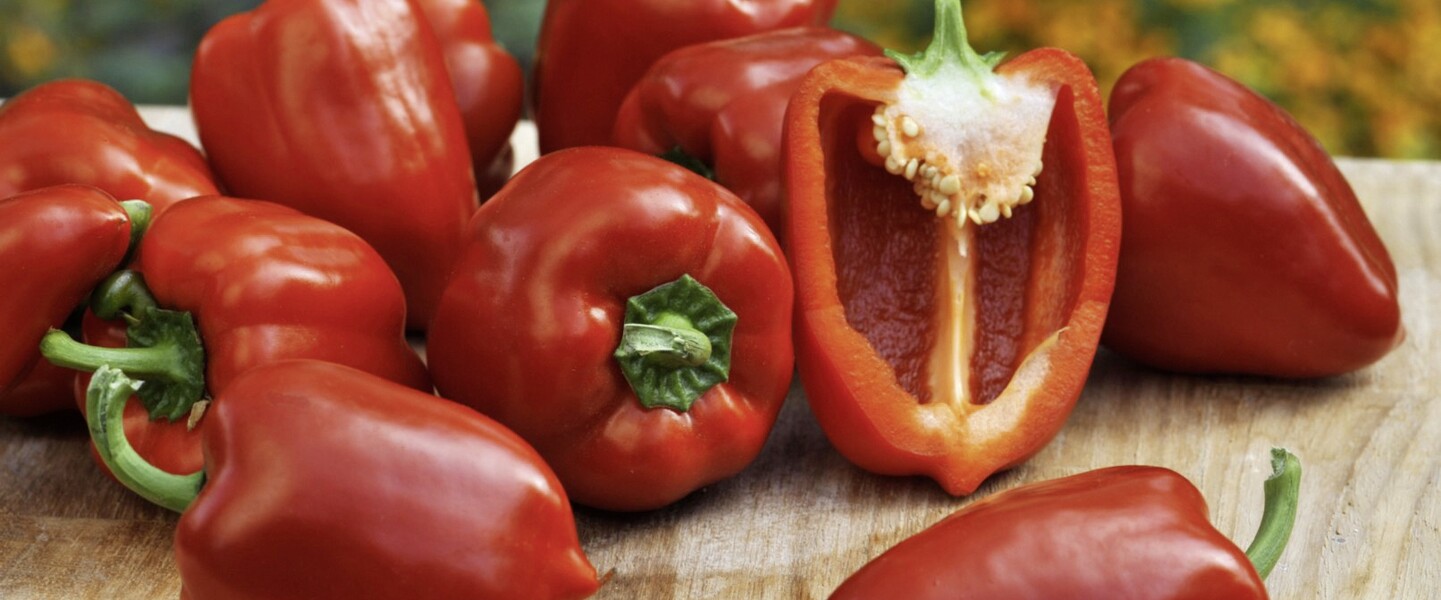 Paprika Almira