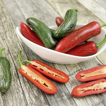 Rote und grün Paprika liegen in einer Schale auf einem Tisch