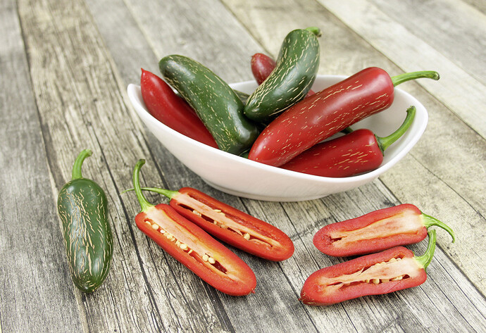 Rote und grün Paprika liegen in einer Schale auf einem Tisch