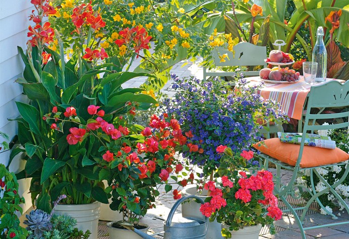 Mediterrane Topfpflanzen auf der Terrasse