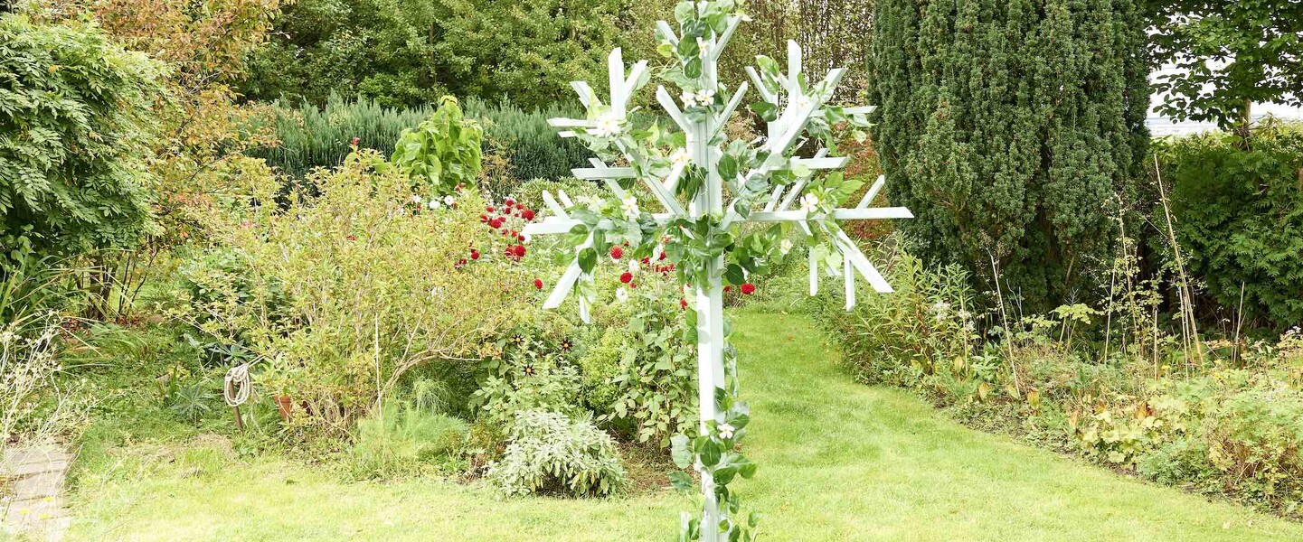 Bl&uuml;tenbaum f&uuml;r Deinen Garten