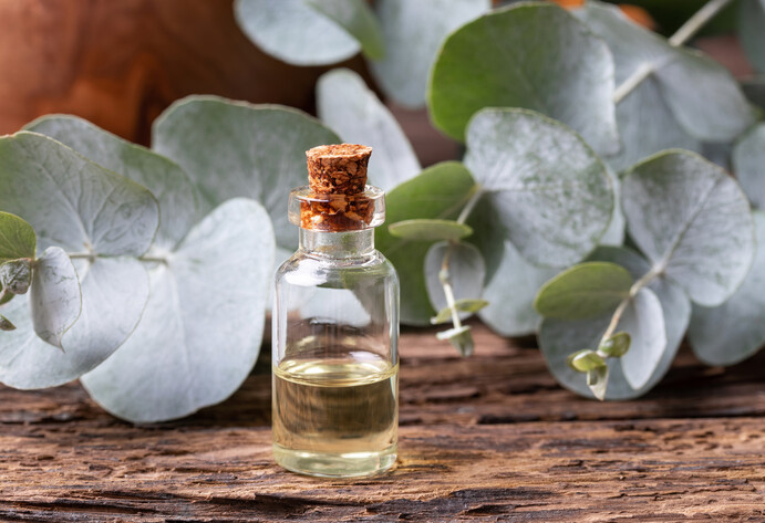 Flasche mit Eukalyptusöl