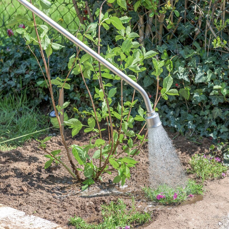 Beet bepflanzen im April Schritt 3: Andrücken und wässern