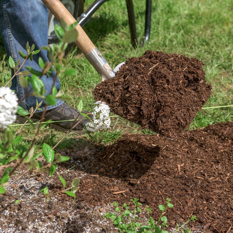 Beet bepflanzen im April Schritt 4: Mulchen