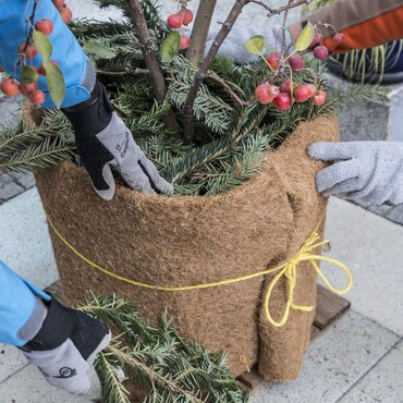 Winterschutz für Kübelpflanzen